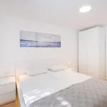 Infinity Dalmatia Apartman Vinjerac
